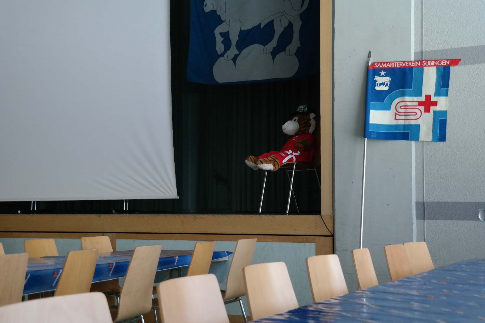 Bild1 (312)